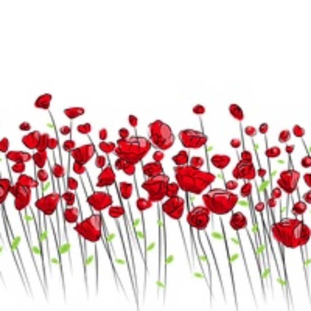 ACCESSORIES----> - Picture 7 of 7